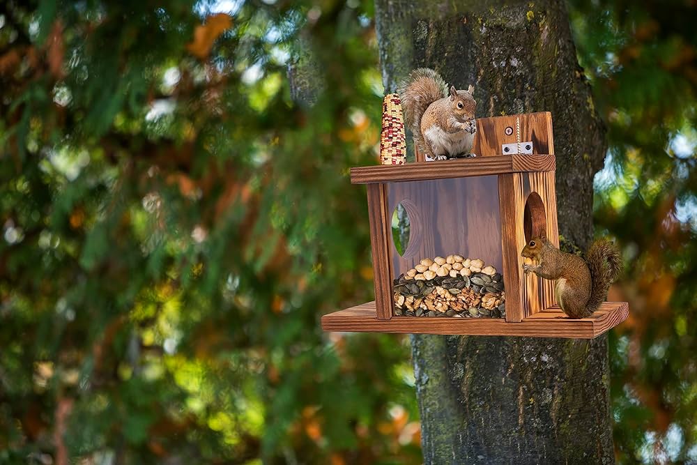 US Poultry Supplies Sales Store -US Poultry Supplies Sales Store 81LOAoh4yyL. AC UF10001000 QL80