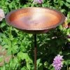 Hammered Solid Copper Bird Bath With Stake 1 Hammered Solid Copper Bird Bath With Stake -US Poultry Supplies Sales Store ACD BBHC 02T S 400x400 1 a8dfb17e feec 45e0 9df9 7ca6d2dd5c58