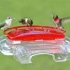Jewel Box Window Hummingbird Feeder 1 Jewel Box Window Hummingbird Feeder -US Poultry Supplies Sales Store ASP 407 400x320 320f0968 60b1 4636 9aae e82ed63d01c5