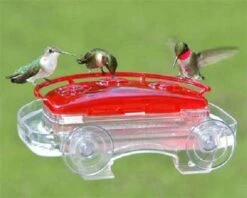 Jewel Box Window Hummingbird Feeder