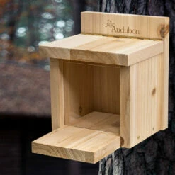 Audubon Cedar Squirrel Munch Box