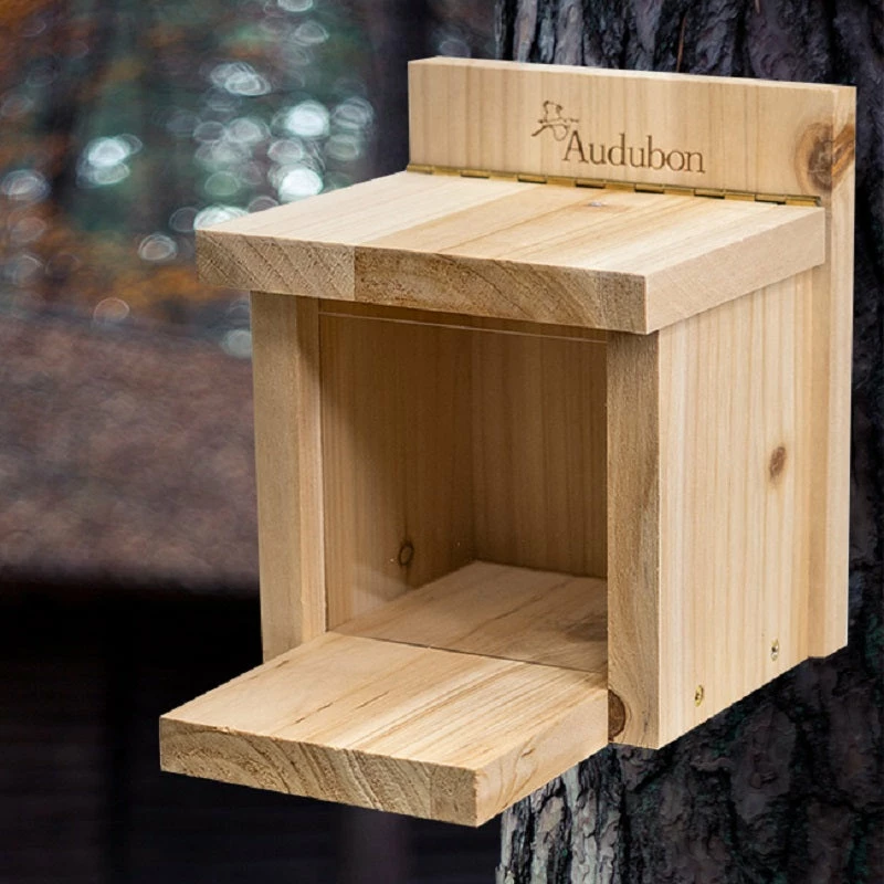 Audubon Cedar Squirrel Munch Box 3 Audubon Cedar Squirrel Munch Box
