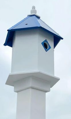 Sycamore Bird House With Cobalt Blue Roof 7 Sycamore Bird House With Cobalt Blue Roof -US Poultry Supplies Sales Store AWP SYCHSE CB ACC 480x800 ec281e8f 3936 4e35 b917 28f51139809f
