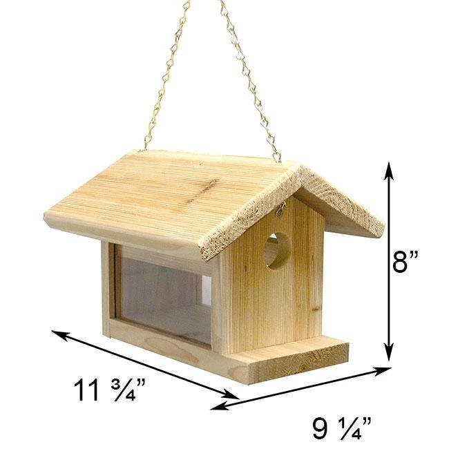 Bluebird Feeder 4 Bluebird Feeder - Image 2
