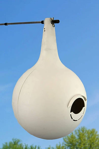 Purple Martin Two-Piece Gourd With Crescent SREH - 16 Pack 5 Purple Martin Two-Piece Gourd With Crescent SREH - 16 Pack - Image 3