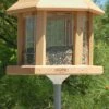 Le Grande Gazebo Bird Feeder Combo 2 Le Grande Gazebo Bird Feeder Combo -US Poultry Supplies Sales Store HMC 696C 400x666 8543086b 348f 4f9a b9d2 9785255c26b9