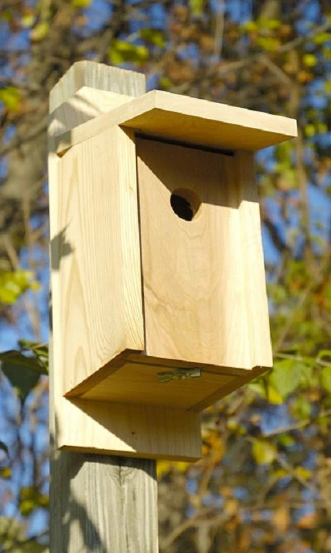Joy Box Eastern Bluebird House 3 Joy Box Eastern Bluebird House