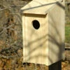 Joy Box Screech Owl And Kestrel House 2 Joy Box Screech Owl And Kestrel House -US Poultry Supplies Sales Store HW 138A 400x666 626e8b79 8175 41fd bb70 4b182e805cc7