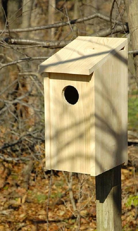 Joy Box Screech Owl And Kestrel House 3 Joy Box Screech Owl And Kestrel House