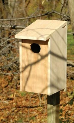 Joy Box Wood Duck House