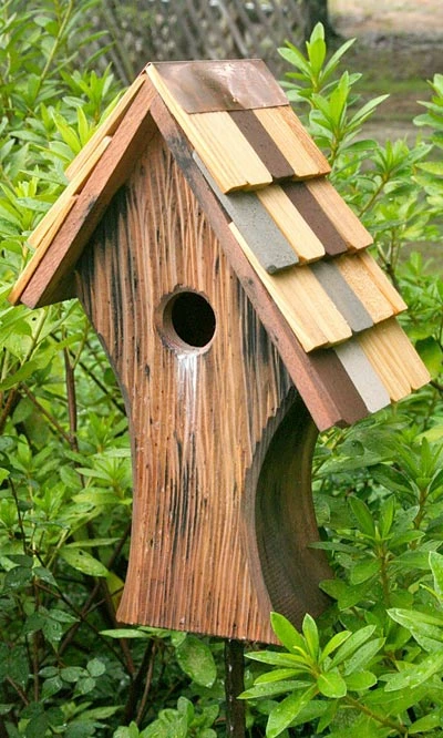 Nottingham Bird House 3 Nottingham Bird House