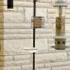Wild Bird Feeding Station Kit 2 Wild Bird Feeding Station Kit -US Poultry Supplies Sales Store PAP 89143 333x666 924d2a4c fa14 4127 9dc6 01ba832b295d