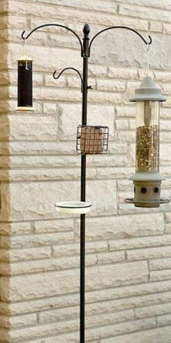 Wild Bird Feeding Station Kit