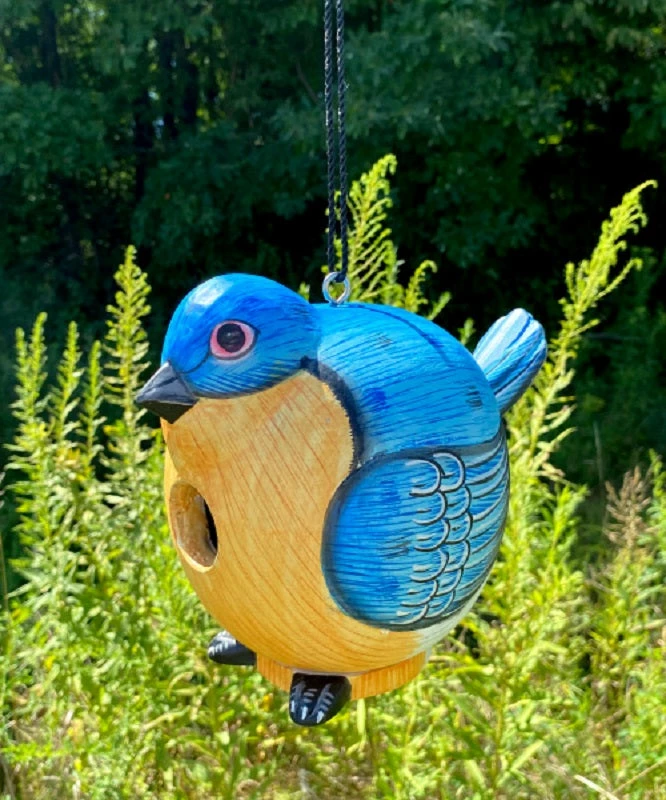 Gord-O Bluebird Bird House 7 Gord-O Bluebird Bird House - Image 5