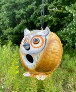 Gord-O Owl Bird House 13 Gord-O Owl Bird House -US Poultry Supplies Sales Store SOE SE3880065 ACC1 500x600 1fd47538 6a19 449a af6b 5ef2d314df20