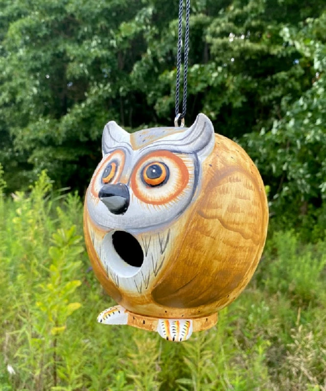 Gord-O Owl Bird House 8 Gord-O Owl Bird House - Image 6