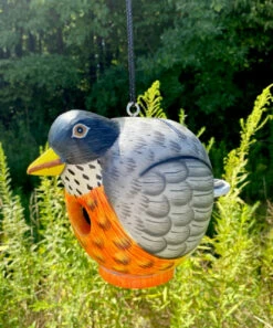 Gord-O Robin Bird House 13 Gord-O Robin Bird House -US Poultry Supplies Sales Store SOE SE3880084 ACC1 500x600 2da46594 8a5e 4ef2 8954 f6f01a50abd5
