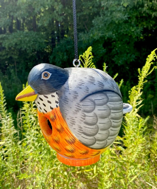 Gord-O Robin Bird House 8 Gord-O Robin Bird House - Image 6