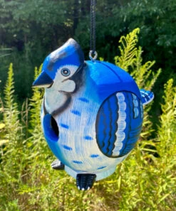 Gord-O Blue Jay Bird House 13 Gord-O Blue Jay Bird House -US Poultry Supplies Sales Store SOE SE3880097 ACC1 500x600 1f5494de 734a 46db b3cd 06238ca6e3e9