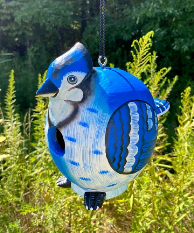 Gord-O Blue Jay Bird House 8 Gord-O Blue Jay Bird House - Image 6