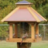 Large Coppertop Gazebo Bird Feeder 2 Large Coppertop Gazebo Bird Feeder -US Poultry Supplies Sales Store WDL COPGAZEBO 400x480 d765544d ab66 4c02 8926 9c773cc6ad89