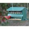 Absolute Bird Feeder With Pole And Hanger 2 Absolute Bird Feeder With Pole And Hanger -US Poultry Supplies Sales Store absolute bird feeder pole hanger 50 01 75 00 feeders heritage farms birdhousesandbaths 490