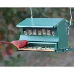 Absolute Bird Feeder With Pole And Hanger