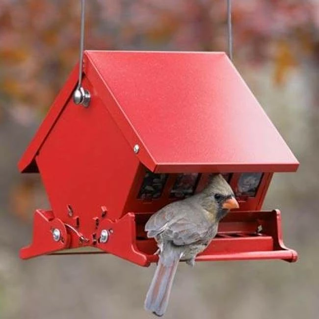 Absolute II Mini Bird Feeder 3 Absolute II Mini Bird Feeder