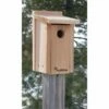 Audubon Cedar Bluebird House 1 Audubon Cedar Bluebird House -US Poultry Supplies Sales Store audubon cedar bluebird house 00 01 25 bird woodlink birdhousesandbaths 706