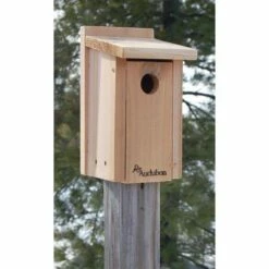 Audubon Cedar Bluebird House