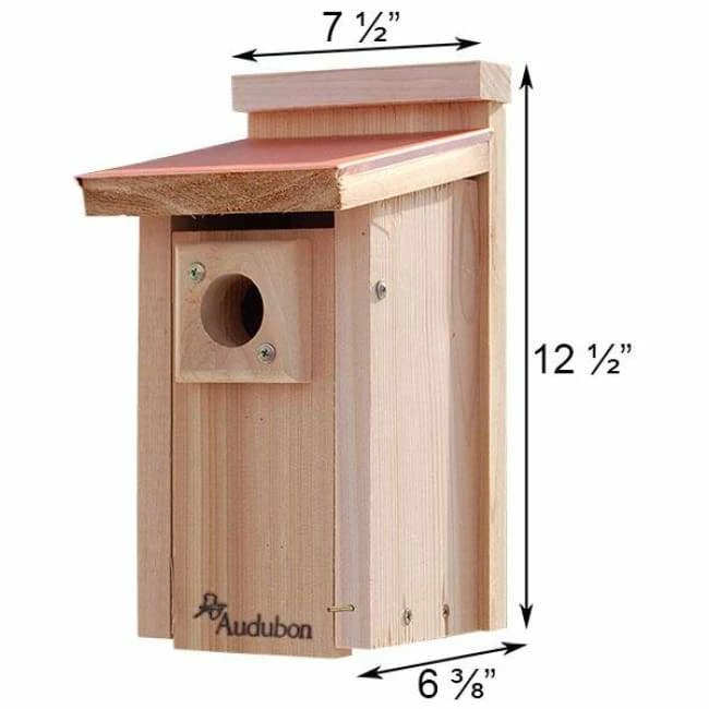 Audubon Coppertop Bluebird House 4 Audubon Coppertop Bluebird House - Image 2