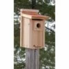 Audubon Coppertop Bluebird House 1 Audubon Coppertop Bluebird House -US Poultry Supplies Sales Store audubon coppertop bluebird house 25 01 50 00 bird woodlink birdhousesandbaths 808