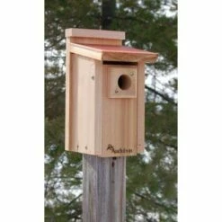 Audubon Coppertop Bluebird House