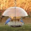 Audubon Domed Wild Bird Feeder 2 Audubon Domed Wild Bird Feeder -US Poultry Supplies Sales Store audubon domed wild bird feeder 00 01 25 feeders woodlink birdhousesandbaths 243