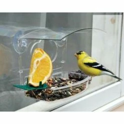 Audubon Mixed Treat Window Feeder