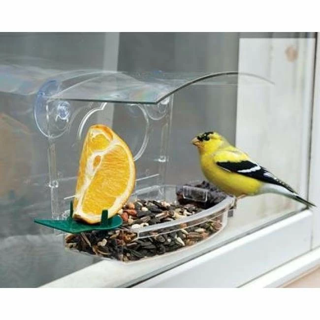 Audubon Mixed Treat Window Feeder 3 Audubon Mixed Treat Window Feeder