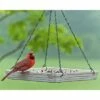 Audubon Plant Fiber-Based Premium Hanging Platform Feeder 1 Audubon Plant Fiber-Based Premium Hanging Platform Feeder -US Poultry Supplies Sales Store audubon plant fiber based premium hanging platform feeder 00 01 25 bird feeders woodlink birdhousesandbaths 119