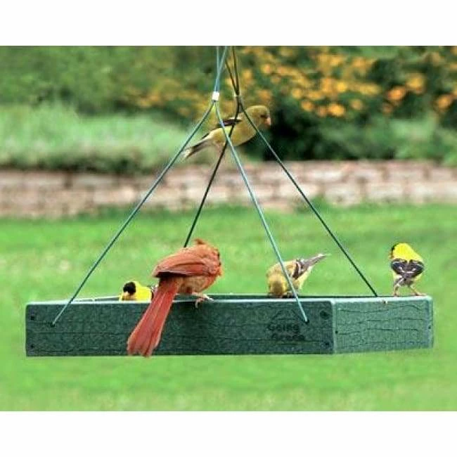 Audubon Recycled Plastic Platform Bird Feeder 3 Audubon Recycled Plastic Platform Bird Feeder