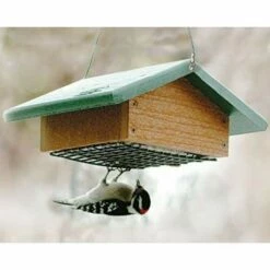 Audubon Recycled Plastic Upside Down Suet Feeder