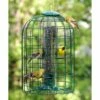 Audubon Squirrel-Resistant Caged Tube Bird Feeder 1 Audubon Squirrel-Resistant Caged Tube Bird Feeder -US Poultry Supplies Sales Store audubon squirrel resistant caged tube bird feeder 25 01 50 00 feeders woodlink birdhousesandbaths 135