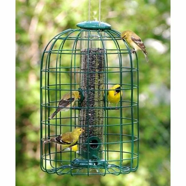 Audubon Squirrel-Resistant Caged Tube Bird Feeder 3 Audubon Squirrel-Resistant Caged Tube Bird Feeder