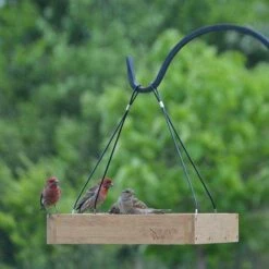 Bamboo Tray Bird Feeder 7 Bamboo Tray Bird Feeder -US Poultry Supplies Sales Store bamboo tray bird feeder 00 01 25 feeders natures birdhousesandbaths 152