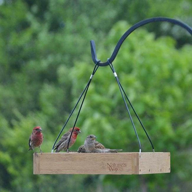 Bamboo Tray Bird Feeder 5 Bamboo Tray Bird Feeder - Image 3