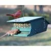 Bird's Choice Squirrel Proof Bird Feeder, Green 1 Bird's Choice Squirrel Proof Bird Feeder, Green -US Poultry Supplies Sales Store birds choice squirrel proof mottled green bird feeder 25 01 50 00 feeders heritage farms birdhousesandbaths 759