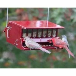 Bird's Choice Squirrel Proof Bird Feeder, Red