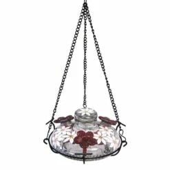 Bloom Botanica Hummingbird Feeder With Perch, Clear