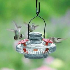 Bloom Hummingbird Feeder, Clear