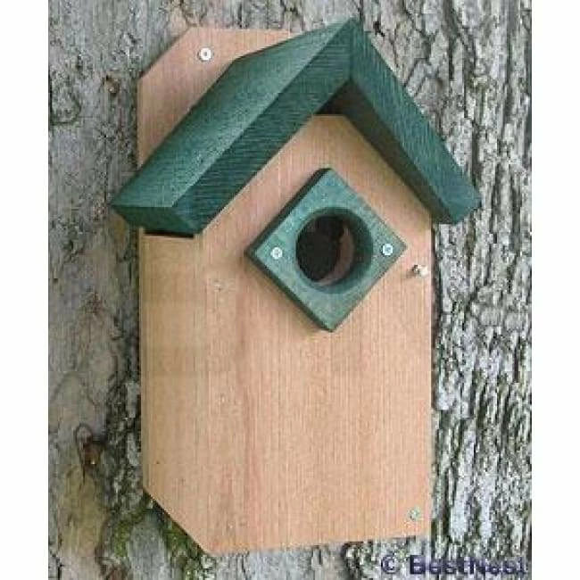 Bluebird House 3 Bluebird House