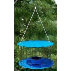 Caged Bluebird Feeder, Blue
