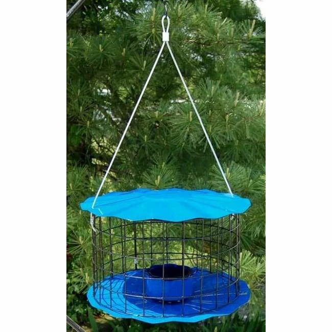 Caged Bluebird Feeder, Blue 3 Caged Bluebird Feeder, Blue